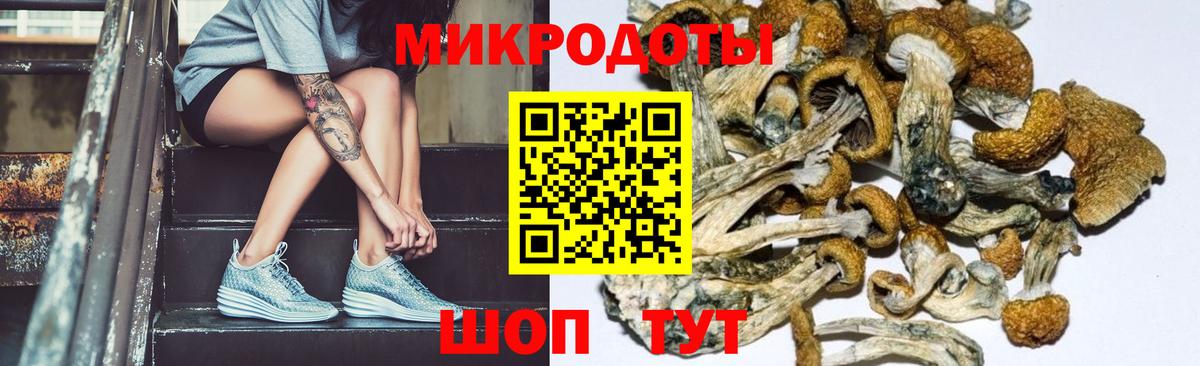 Ревда  Псилоцибиновые грибы мухоморы  Вход с VPN 